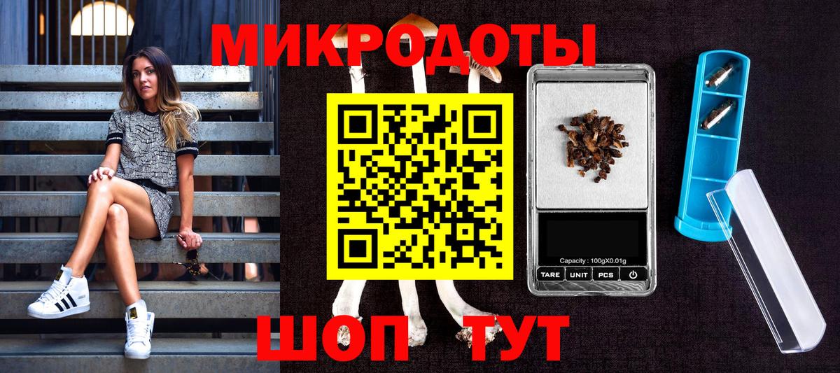 Псилоцибиновые грибы прущие грибы  Вход с VPN  Псилоцибиновые грибы Cubensis  Волжск 
