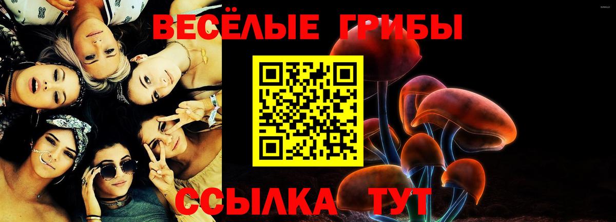Псилоцибиновые грибы Magic Shrooms Волжск